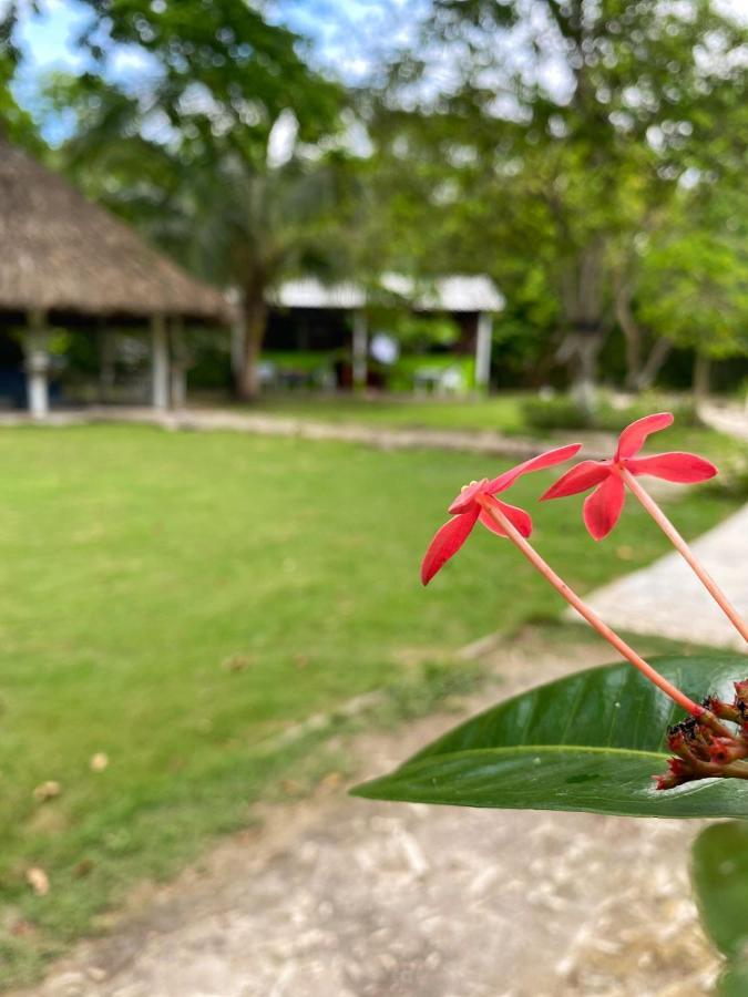 איילה גראנדה Eco Hotel Bosque Encantado מראה חיצוני תמונה