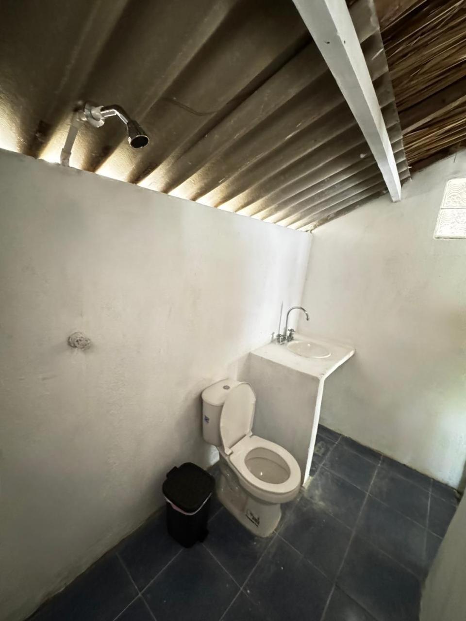 איילה גראנדה Eco Hotel Bosque Encantado מראה חיצוני תמונה
